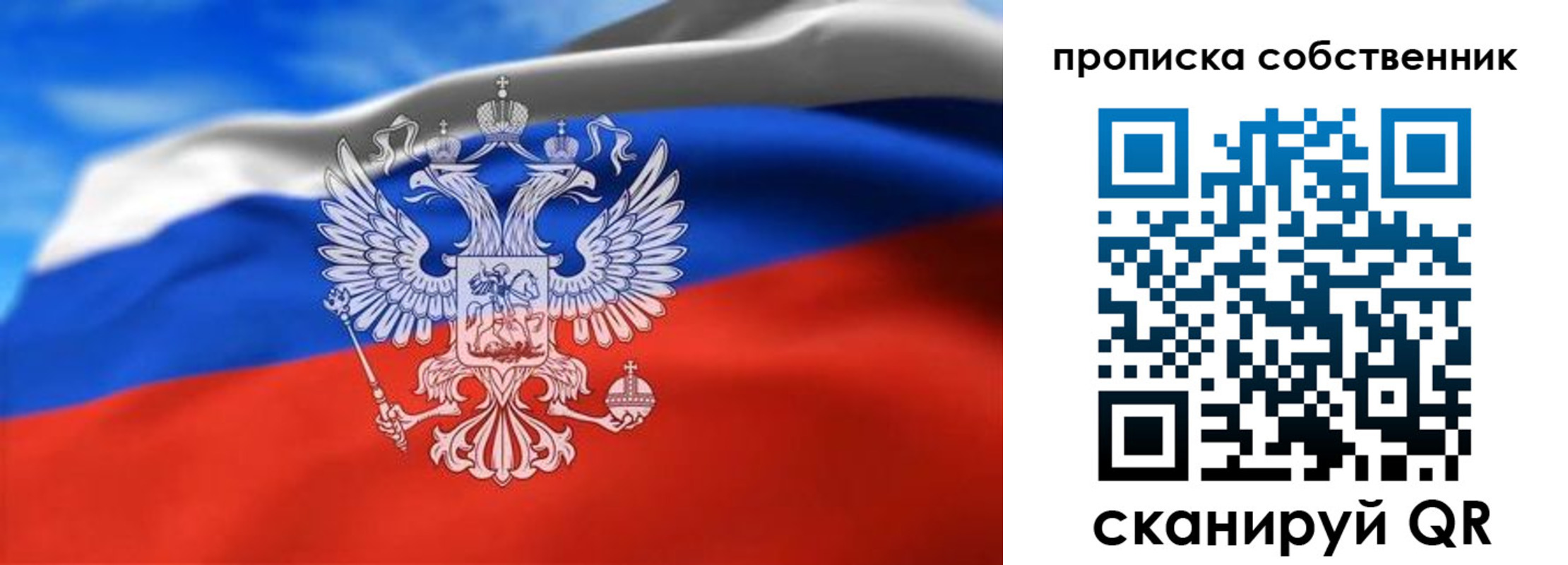 прописка законно в Королёве